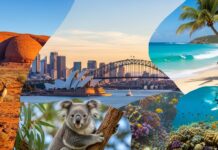 Australia: A Continent of Endless Adventure 🇦🇺